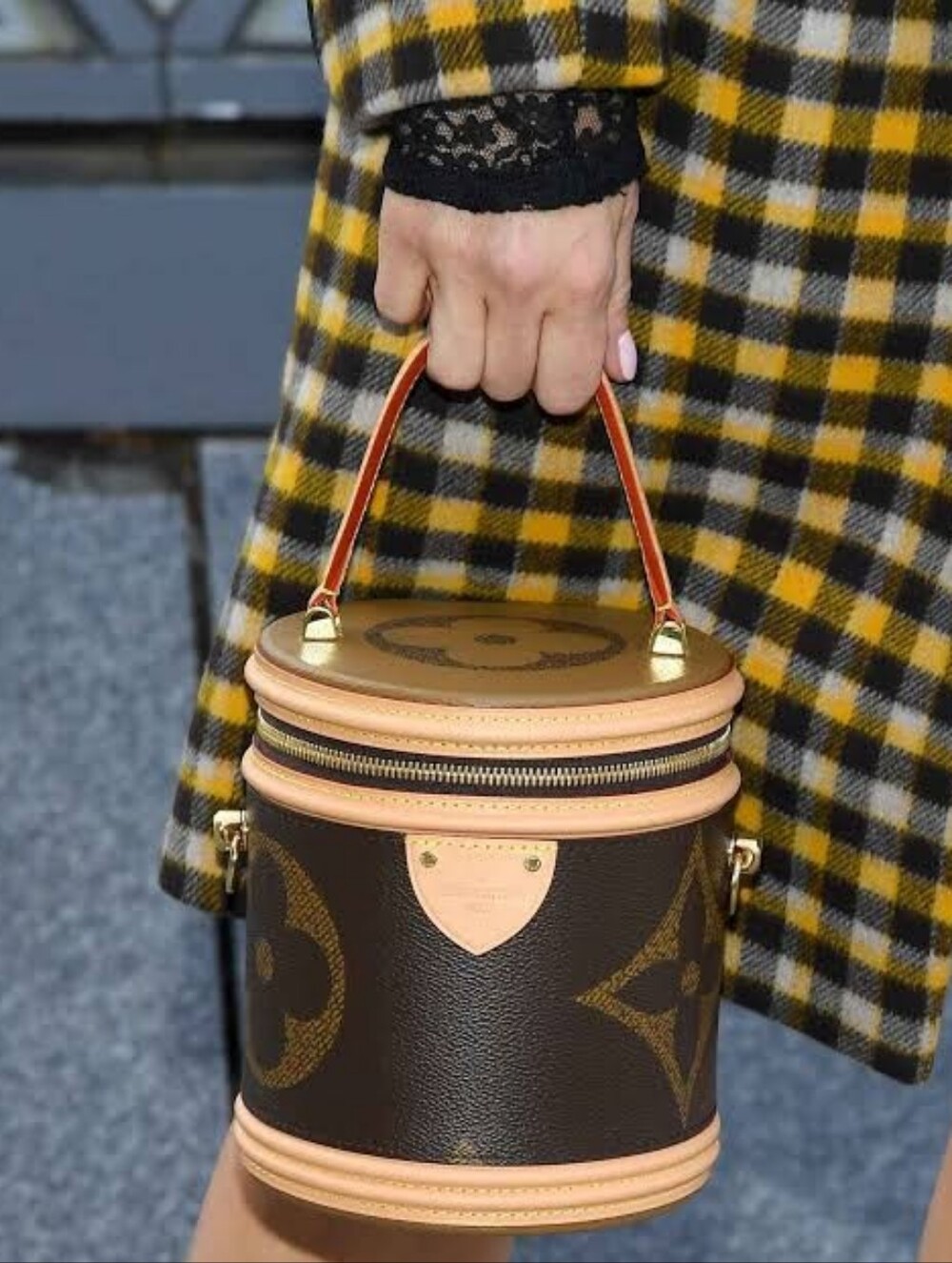 Like NEW!!! Rare! Louis Vuitton Cannes Monogram Giant Brown LV With COA & Lock! - Picture 3 of 16